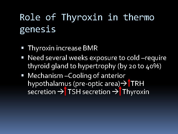 Role of Thyroxin in thermo genesis Thyroxin increase BMR Need several weeks exposure to