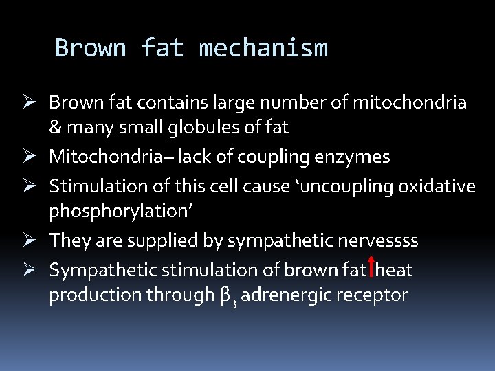 Brown fat mechanism Ø Brown fat contains large number of mitochondria & many small