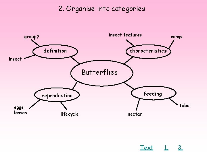 2. Organise into categories insect features group? definition wings characteristics insect Butterflies feeding reproduction