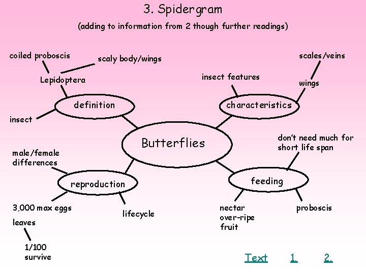 3. Spidergram (adding to information from 2 though further readings) coiled proboscis scales/veins scaly