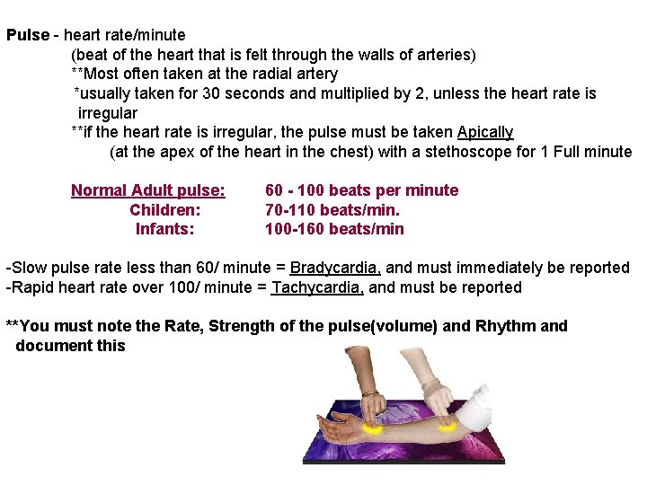 Pulse - heart rate/minute (beat of the heart that is felt through the walls