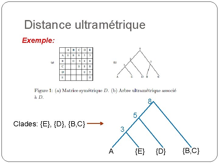 Distance ultramétrique Exemple: 8 5 Clades: {E}, {D}, {B, C} 3 A {E} {D}