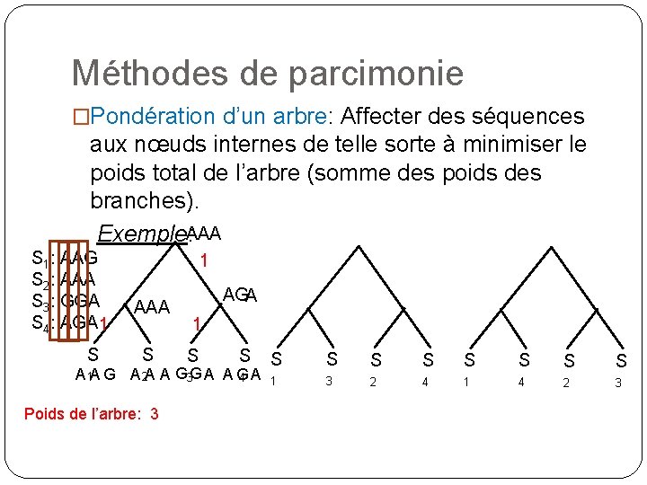 Méthodes de parcimonie �Pondération d’un arbre: Affecter des séquences aux nœuds internes de telle