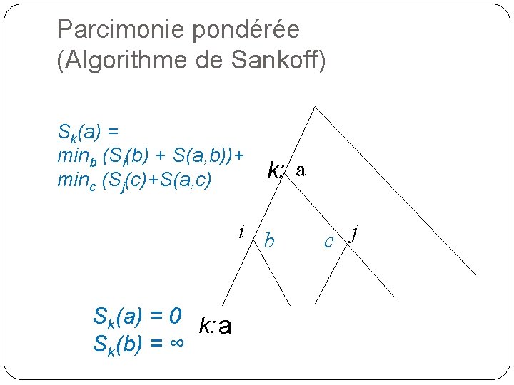 Parcimonie pondérée (Algorithme de Sankoff) Sk(a) = minb (Si(b) + S(a, b))+ minc (Sj(c)+S(a,