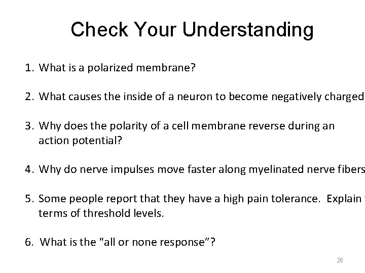 Check Your Understanding 1. What is a polarized membrane? 2. What causes the inside