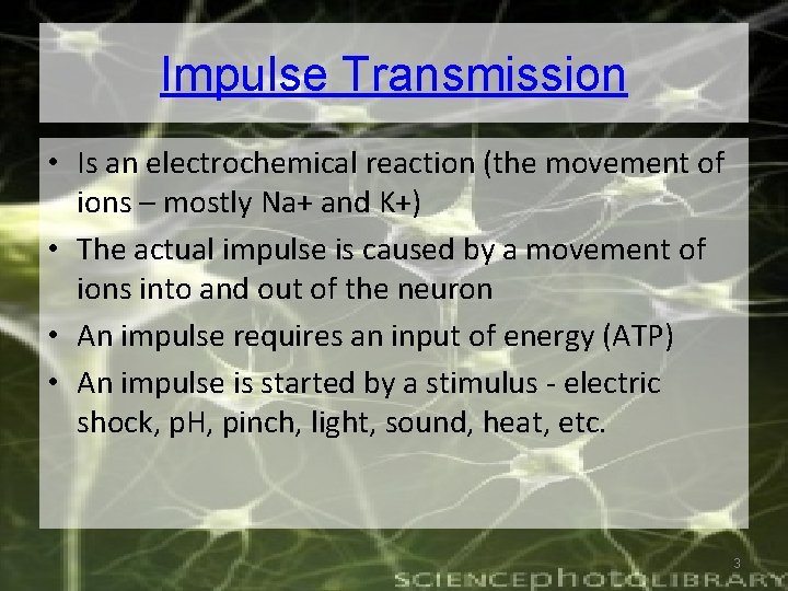 Impulse Transmission • Is an electrochemical reaction (the movement of ions – mostly Na+