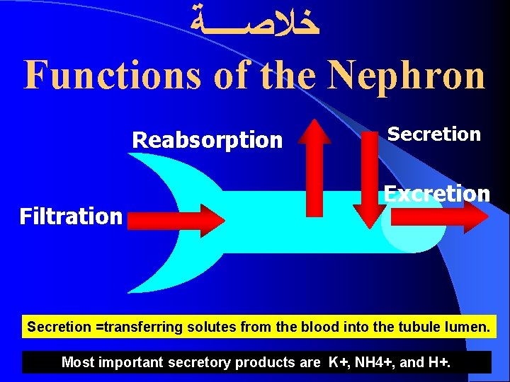  ﺧﻼﺻــــﺔ Functions of the Nephron Reabsorption Filtration Secretion Excretion Secretion =transferring solutes from