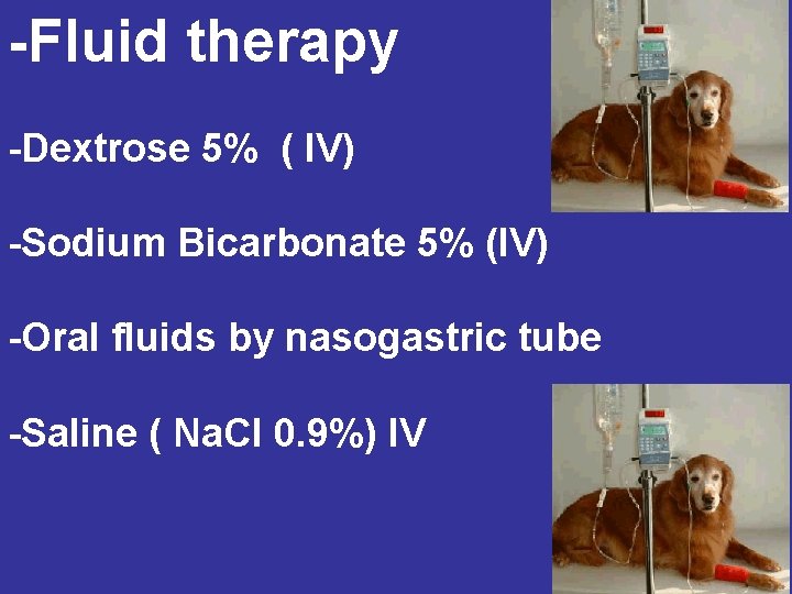 -Fluid therapy -Dextrose 5% ( IV) -Sodium Bicarbonate 5% (IV) -Oral fluids by nasogastric