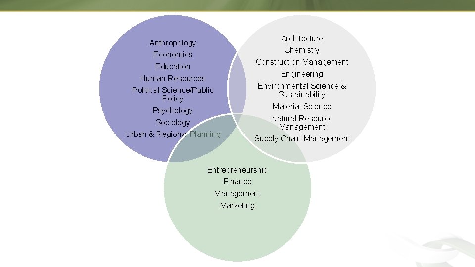 Architecture Anthropology Chemistry Economics Education Human Resources Political Science/Public Policy Psychology Sociology Urban &