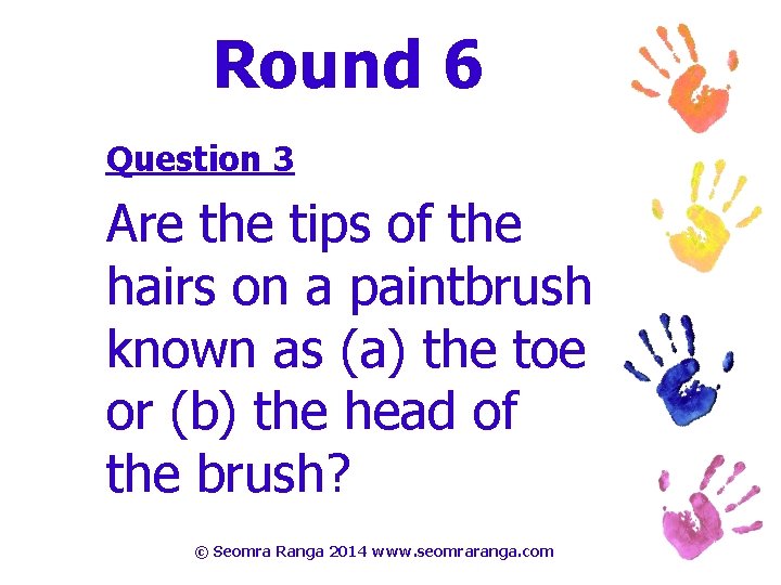 Round 6 Question 3 Are the tips of the hairs on a paintbrush known