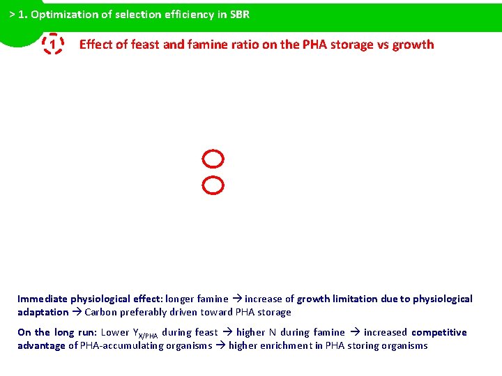 > 1. Optimization of selection efficiency in SBR 1 Effect of feast and famine