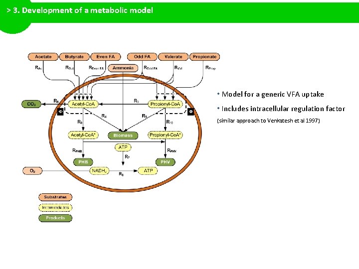 > 3. Development of a metabolic model • Model for a generic VFA uptake