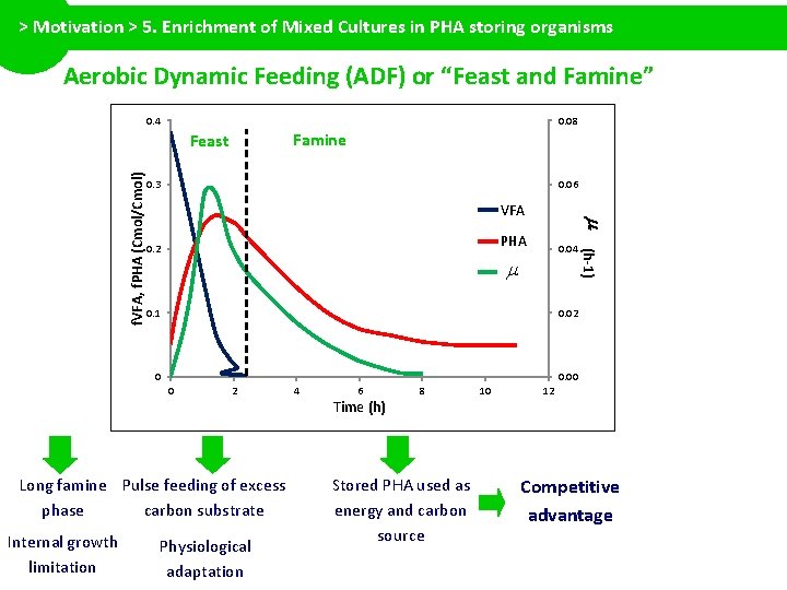 > Motivation > 5. Enrichment of Mixed Cultures in PHA storing organisms Aerobic Dynamic