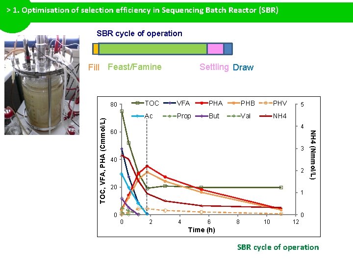 > 1. Optimisation of selection efficiency in Sequencing Batch Reactor (SBR) SBR cycle of