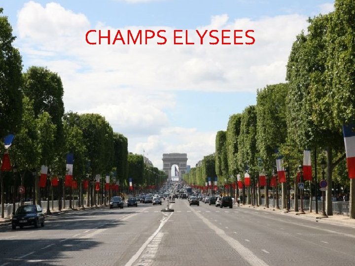 CHAMPS ELYSEES 