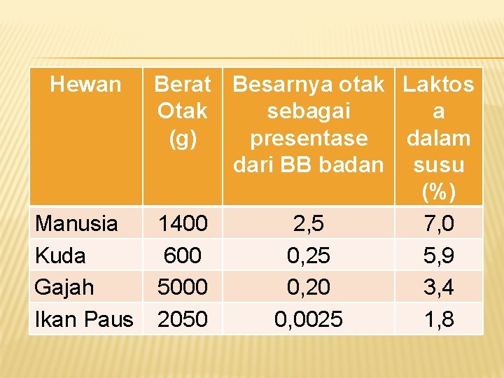 Hewan Berat Besarnya otak Laktos Otak sebagai a (g) presentase dalam dari BB badan