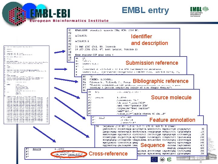 EMBL entry Identifier and description Submission reference Bibliographic reference Source molecule Feature annotation Sequence