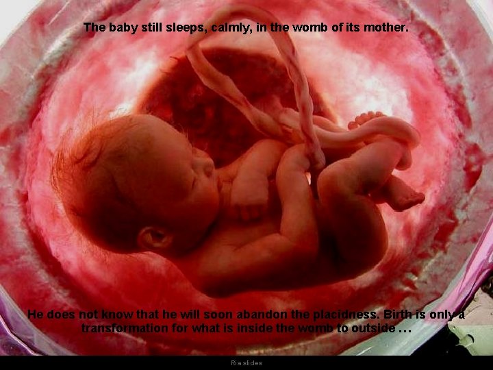 The baby still sleeps, calmly, in the womb of its mother. He does not