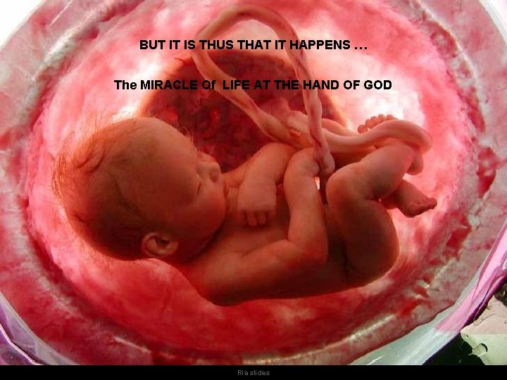 BUT IT IS THUS THAT IT HAPPENS … The MIRACLE Of LIFE AT THE
