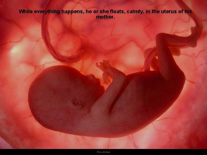 While everything happens, he or she floats, calmly, in the uterus of his mother.