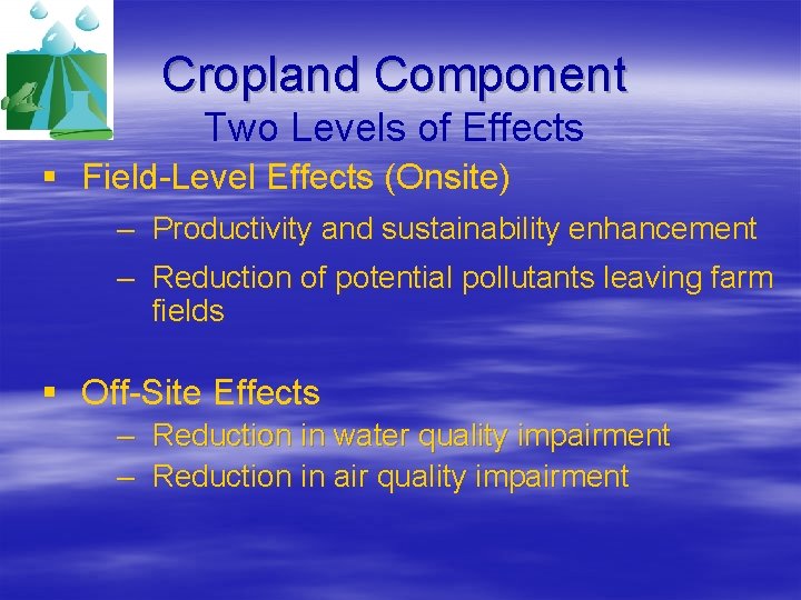 Cropland Component Two Levels of Effects § Field-Level Effects (Onsite) – Productivity and sustainability