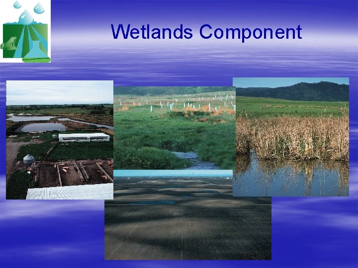 Wetlands Component 