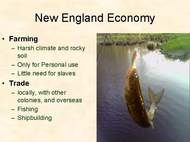 New England Economy • Farming – Harsh climate and rocky soil – Only for