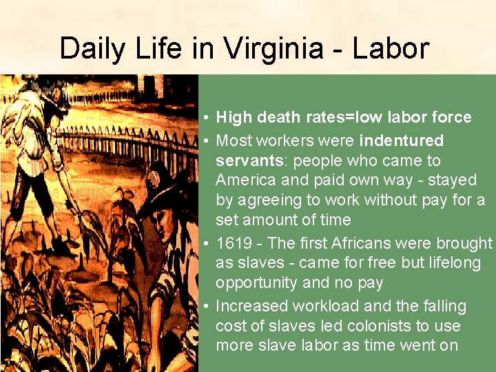 Daily Life in Virginia - Labor • High death rates=low labor force • Most