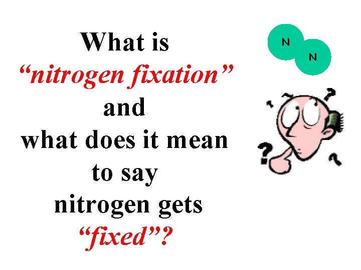 What is “nitrogen fixation” and what does it mean to say nitrogen gets “fixed”?