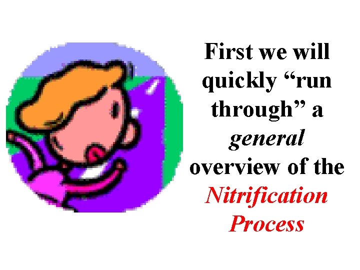 First we will quickly “run through” a general overview of the Nitrification Process 
