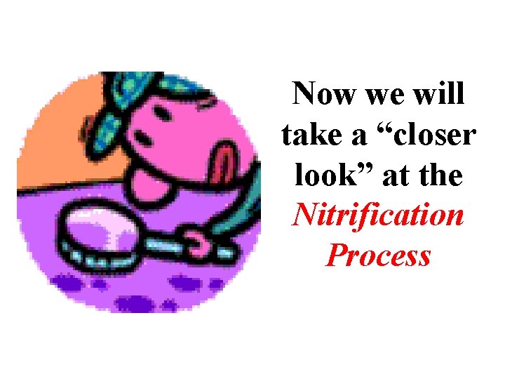 Now we will take a “closer look” at the Nitrification Process 