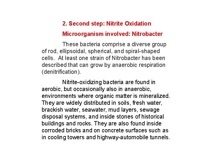 2. Second step: Nitrite Oxidation Microorganism involved: Nitrobacter These bacteria comprise a diverse group