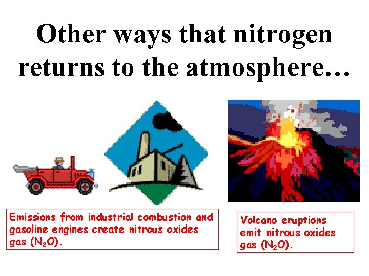 Other ways that nitrogen returns to the atmosphere… Emissions from industrial combustion and gasoline