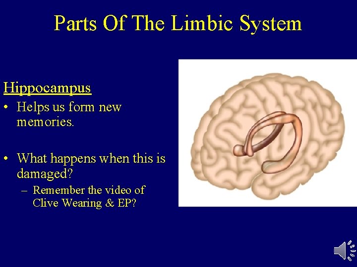 Parts Of The Limbic System Hippocampus • Helps us form new memories. • What