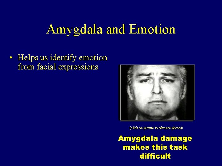 Amygdala and Emotion • Helps us identify emotion from facial expressions (click on picture