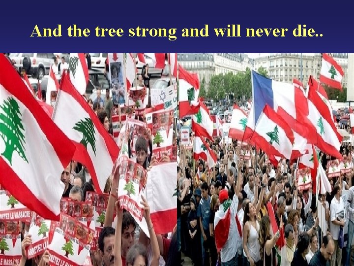 And the tree strong and will never die. . 