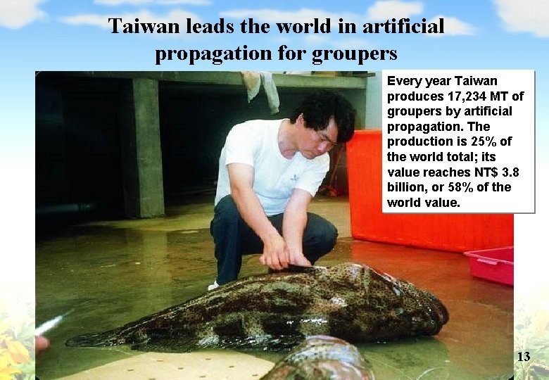 Taiwan leads the world in artificial propagation for groupers Every year Taiwan produces 17,