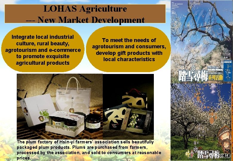 LOHAS Agriculture --- New Market Development Integrate local industrial culture, rural beauty, agrotourism and