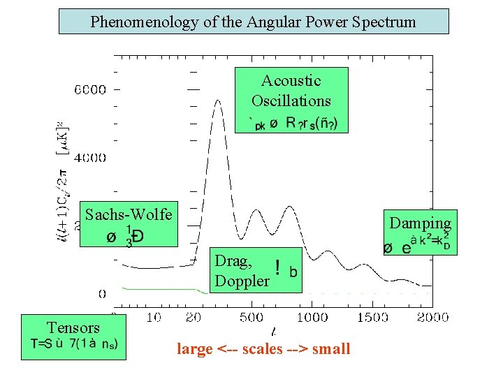 Phenomenology of the Angular Power Spectrum Acoustic Oscillations Sachs-Wolfe Damping Drag, Doppler Tensors large