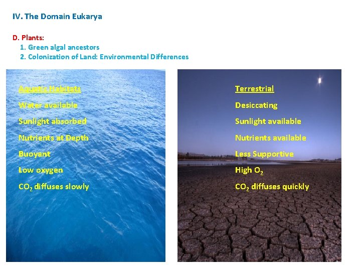 IV. The Domain Eukarya D. Plants: 1. Green algal ancestors 2. Colonization of Land: