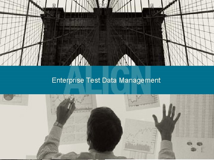 Enterprise Test Data Management © 2007 Princeton 