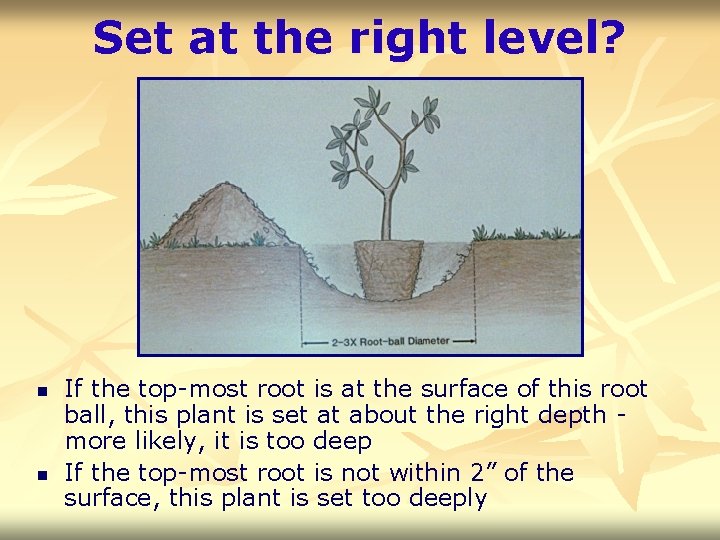 Set at the right level? n n If the top-most root is at the