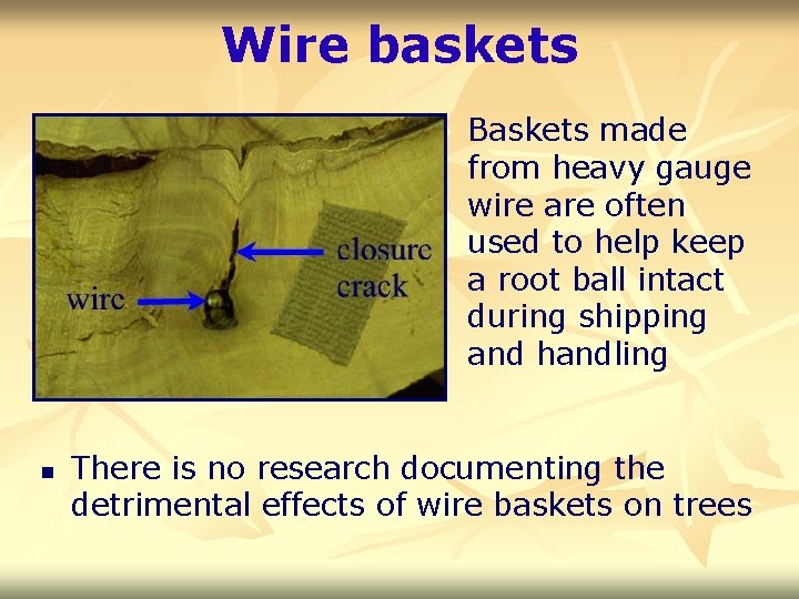Wire baskets Baskets made from heavy gauge wire are often used to help keep