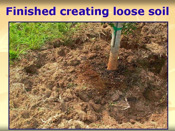 Finished creating loose soil 