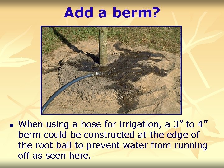 Add a berm? n When using a hose for irrigation, a 3” to 4”