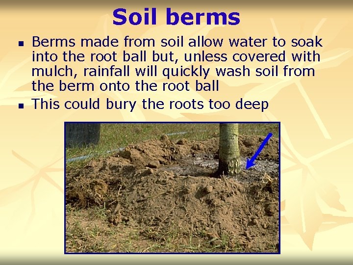 Soil berms n n Berms made from soil allow water to soak into the