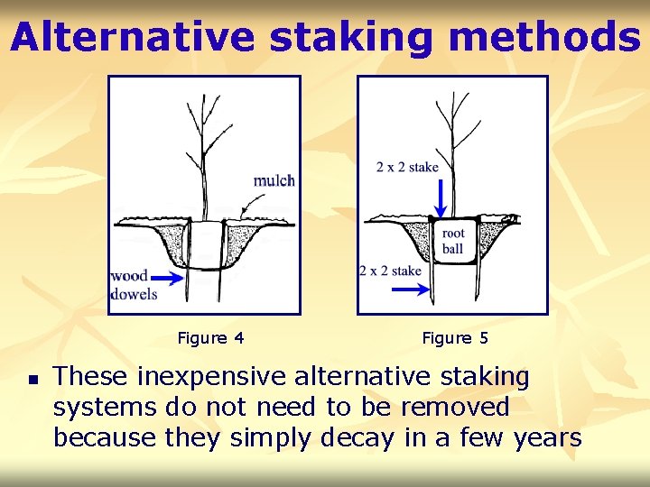 Alternative staking methods Figure 4 n Figure 5 These inexpensive alternative staking systems do