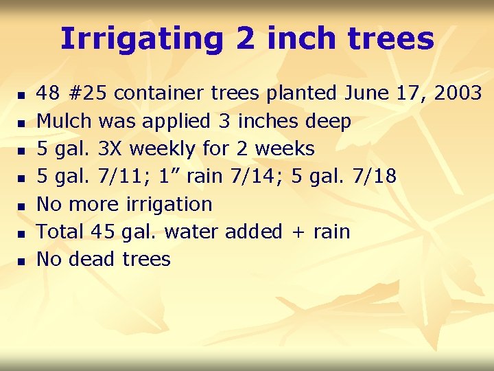 Irrigating 2 inch trees n n n n 48 #25 container trees planted June