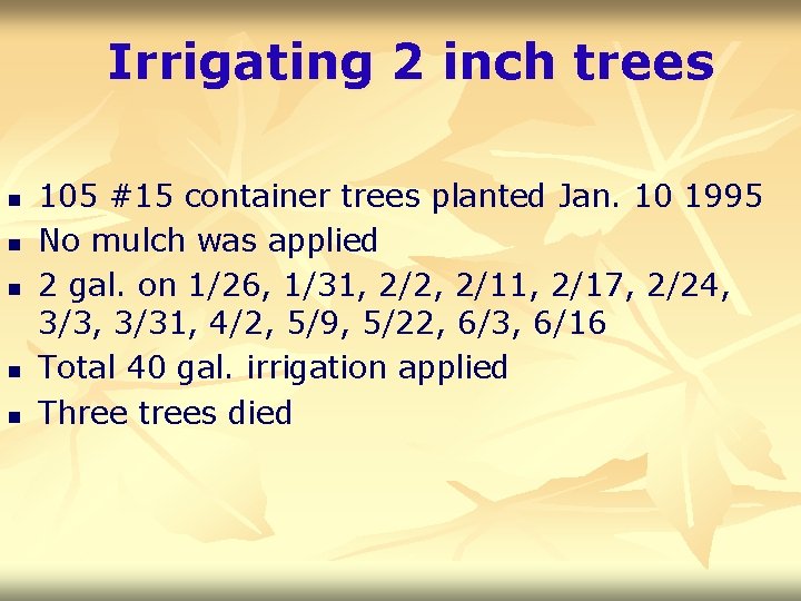 Irrigating 2 inch trees n n n 105 #15 container trees planted Jan. 10