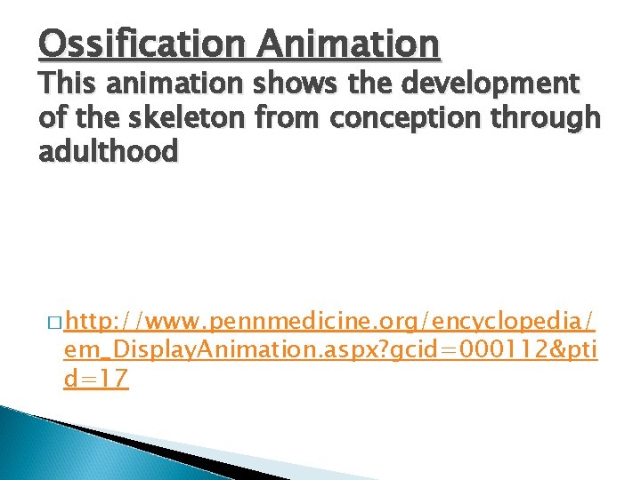 Ossification Animation This animation shows the development of the skeleton from conception through adulthood